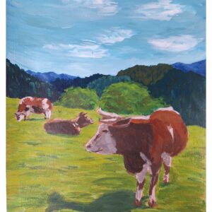 Highland Cows in the Meadow